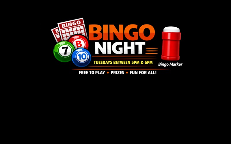 BINGO
